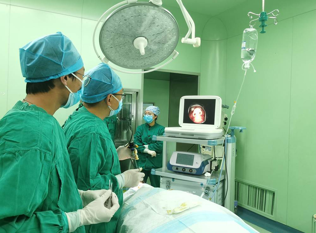 Applications-1(1)_3686